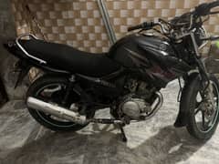 YBR