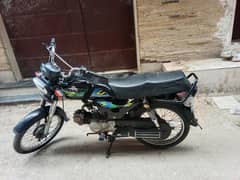 Unique 2019 Model 70cc