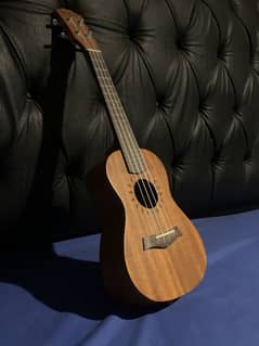 Concert Ukulele- Mahogany Wood| Excellent Build and Sound