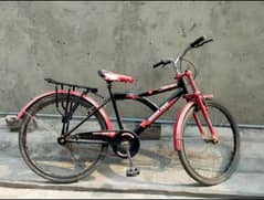 cycle
