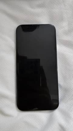 13 pro max