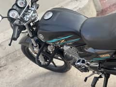 Yamaha YBRZ