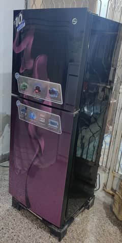 PEL 2350 Purple Glass Door Refrigerator