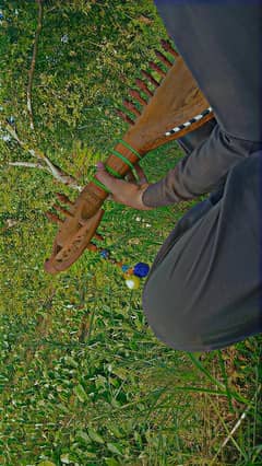 Afghani