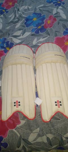 Cricket