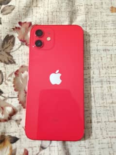 iPhone 12
