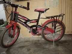 Sport