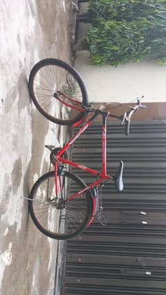 bicycle for sale