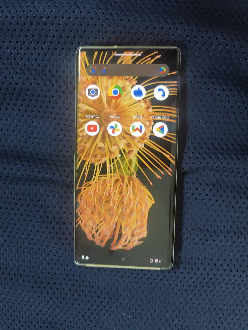 Google Pixel 6 Pro. Pixel 6 pro dotted LCD. display issue 1