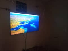 55"