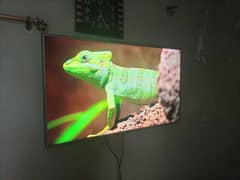 55" inch Led tv for sale
