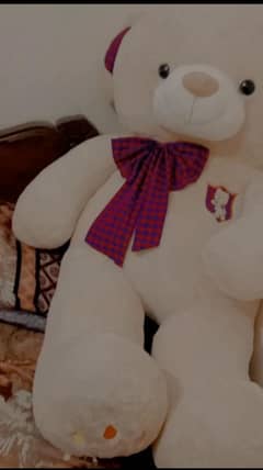 new teddy