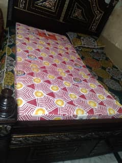 dura foam