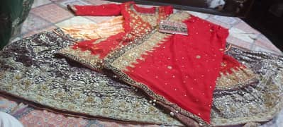 sehrish Haseeb