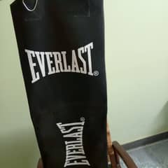 Everlast boxing bag with free gloves.