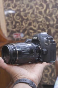 Canon 6d with 70x210mm fullframe professional Dslr.