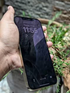 Apple iPhone 12 Pro Max