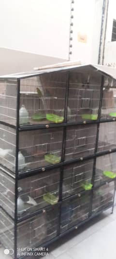 cage for hens parrots etc