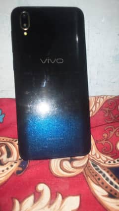 vivo