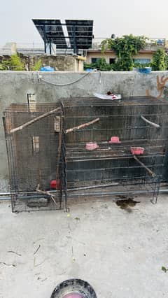 3 cage for sale