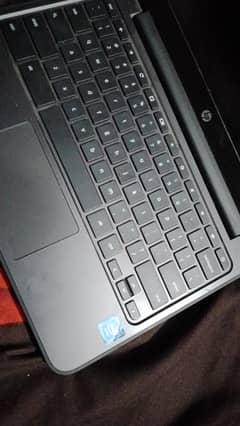 HP