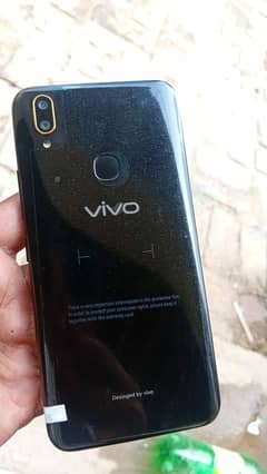 VIVO