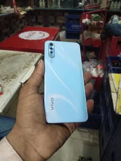 vivo
