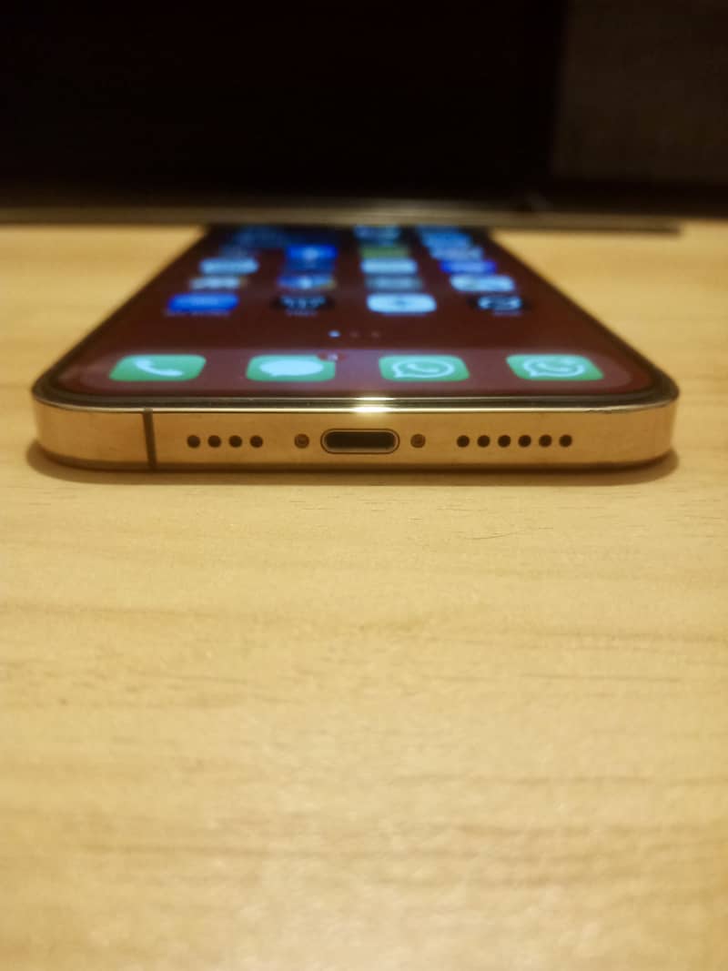 iPhone 12 Pro Max 5