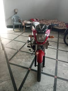0310 1929663 urgent sale honda prider