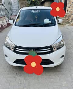 Cultus VXL 2019