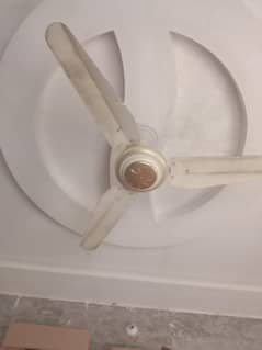 ceilling fan