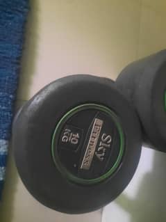 10kg Dumbells