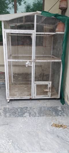 Bird Cage