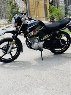 yamaha