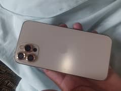 iphone 12 pro golden color
