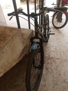 speed bikes