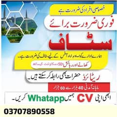 health wellness industry