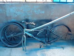 Bicycle phoneix
