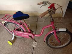 pink important cycle for sale