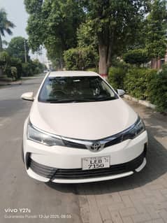 gli 2020 b2b super white