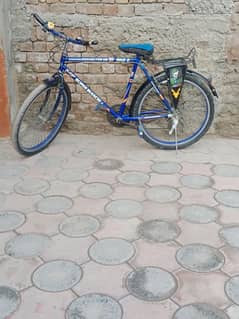 Cycle