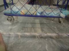 baby girl and boy  swing