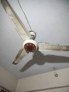 khursheed fan al Burj fan