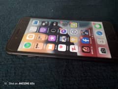 i phone 7 pta approve