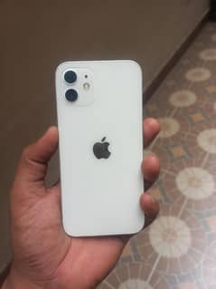 iPhone 12 Factory Unlocked sale and Exchange