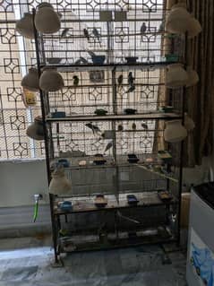 Australians birds Orr cage