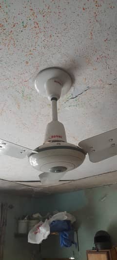 1Royal Fan DC  1 PAK FAN DC