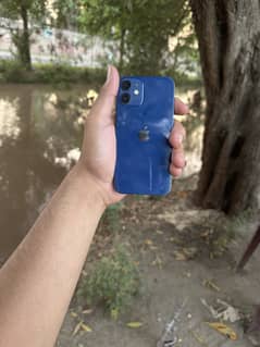 iPhone 12 mini