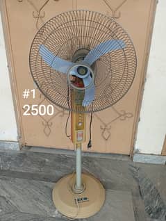 fan