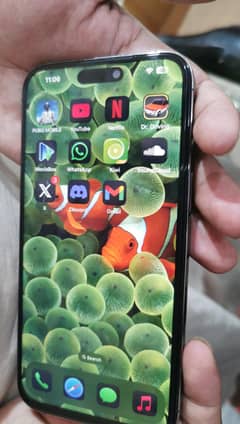 iphone 14 pro max non pta fu